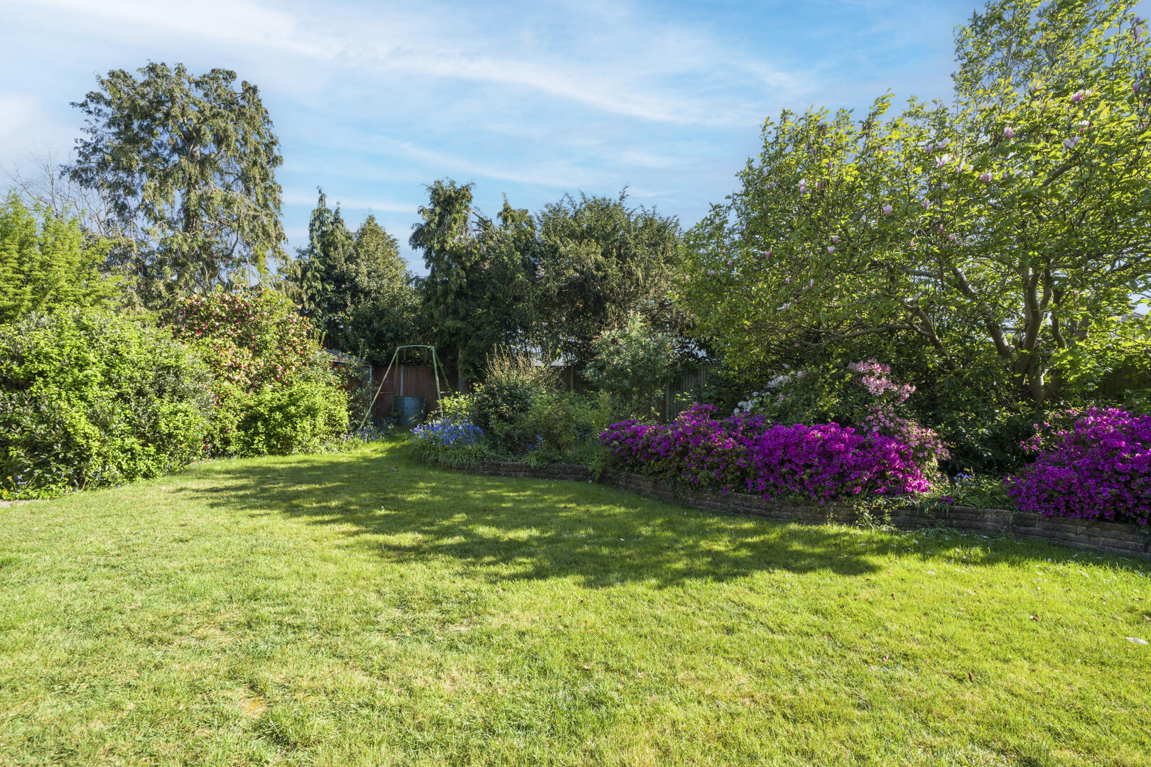 Sunny backyard garden with a green lawn, blooming purple azaleas along a low brick edge, and trees under a blue sky.