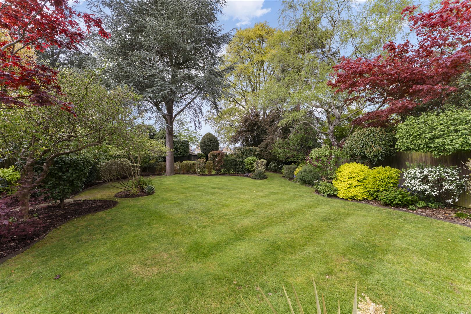 A well-kept backyard garden with a lush green lawn, tall trees, and colorful shrubs along the fence.