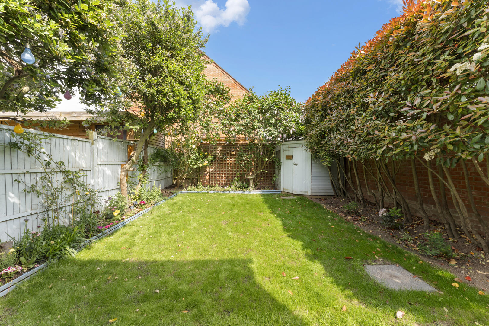 Sunny backyard with green lawn, trees along a white fence, and a small white shed at the far end, under a blue sky with string lights overhead.