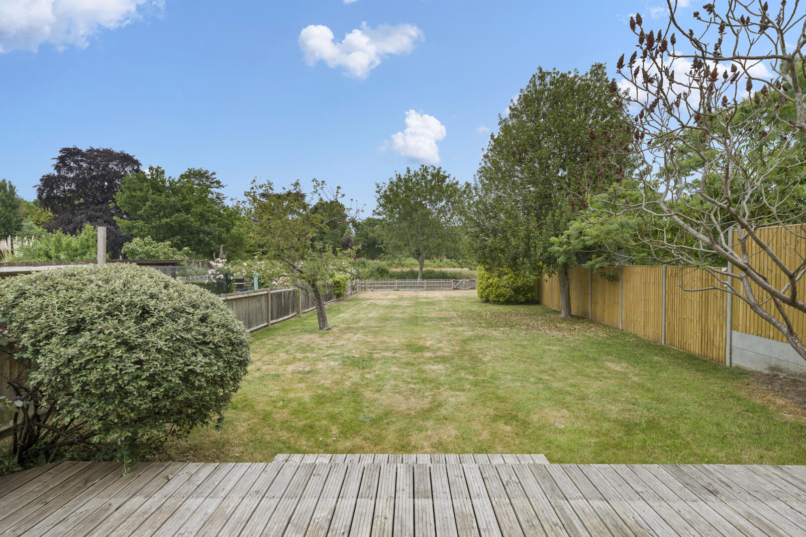 Backyard garden with a wooden deck in the foreground, green lawn, and trees along a tall wooden fence on the right under a blue sky.