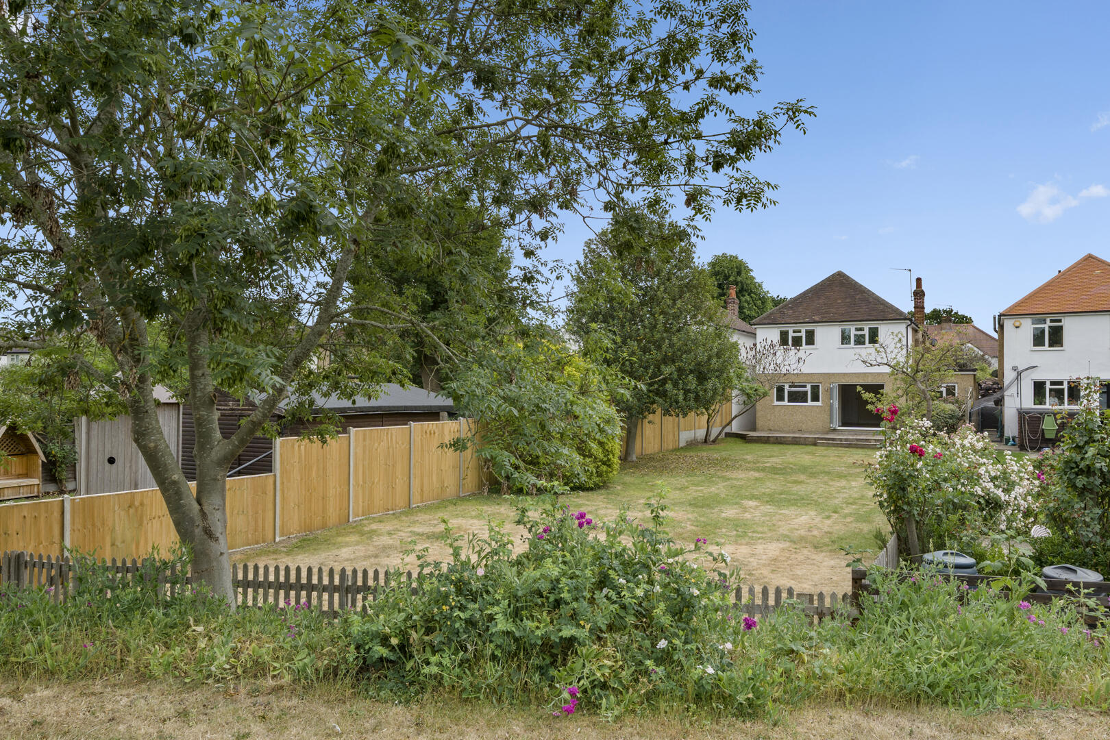 Backyard scene with a large tree, wooden fences, a flower border, and houses in the background under a clear blue sky.