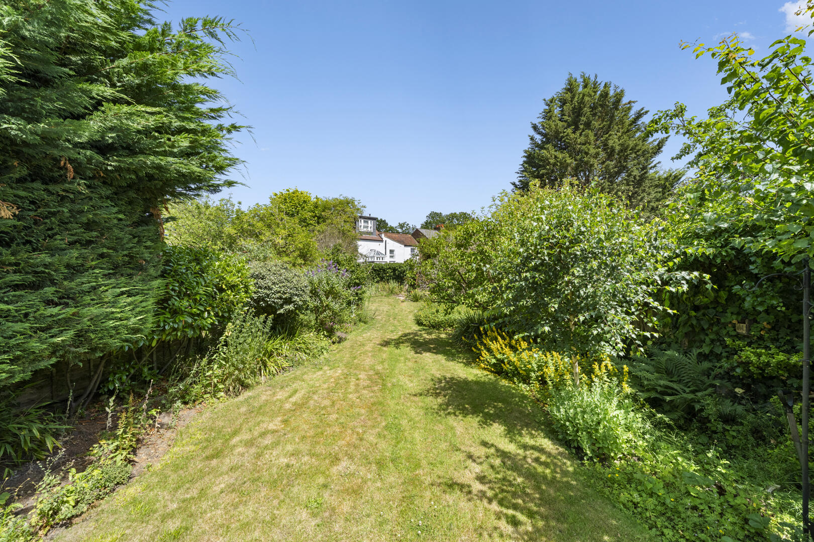 Sunlit garden path bordered by dense green shrubs and trees, leading to white houses in the distance on a clear day.